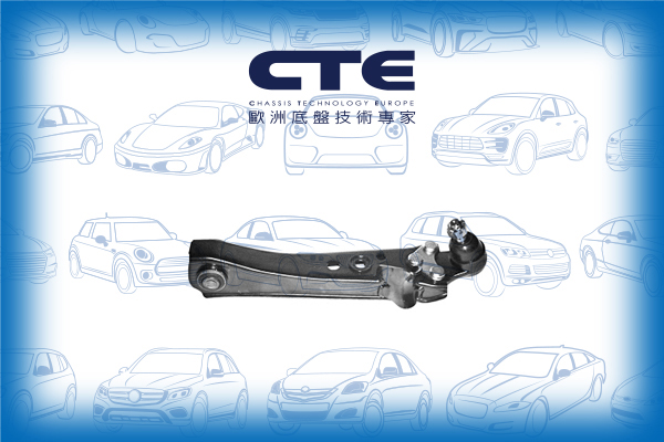 Control Arm/NISSAN/CEDRIC Hardtop (Y31)