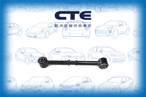 Control Arm/NISSAN/BLUEBIRD (910)