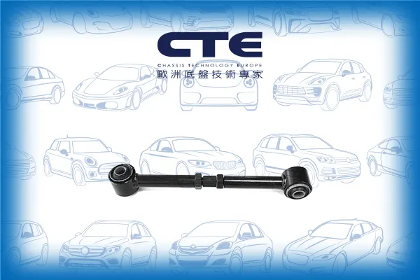 Control Arm/NISSAN/BLUEBIRD (910)
