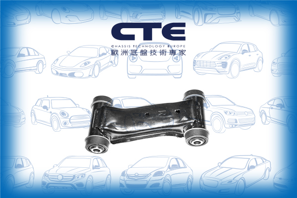 Control Arm/NISSAN/SKYLINE (R32)