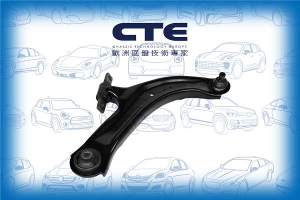 Control Arm/NISSAN/RENAULT/BLUEBIRD SYLPHY / SYLPHY III (B17) | SENTRA/CLIO III (BR0/1, CR0/1) | LUTECIA/JUKE (F15)/LEAF (ZE0)/MODUS / GRAND MODUS (F/JP0_)/NV200 / EVALIA Bus/NV200 Van/PULSAR Hatchback (C13) | SYLPHY | TIIDA/SENTRA VII (B17)/SERENA (C25)/