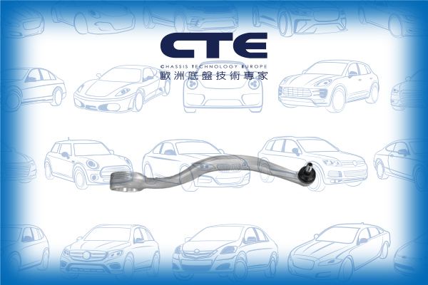 Control Arm/BMW/5 (E39)