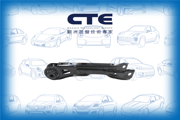 Control Arm/BMW/X1 (E84)
