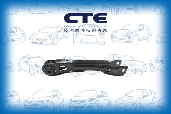 Control Arm/BMW/X1 (E84)