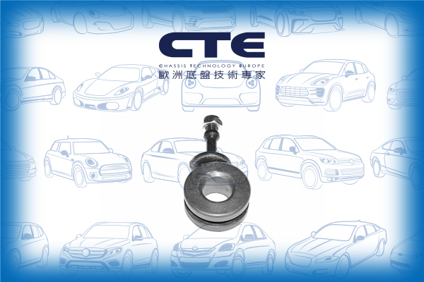 Stabilizer Link/VOLKSWAGEN/PASSAT B3/B4 (3A2, 35I)
