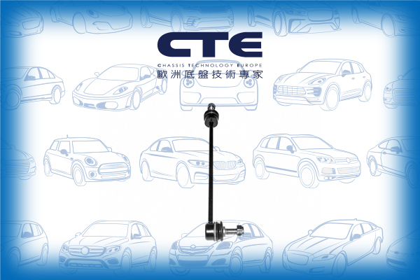 Stabilizer Link/CITROËN/PEUGEOT/106 I (1A, 1C)/106 II (1A_, 1C_)/406 (8B)/406 Break (8E/F)/406 Coupe (8C)/SAXO (S0, S1) | CHANSON/XANTIA (X1_, X2_)/XANTIA Break (X1_, X2_)