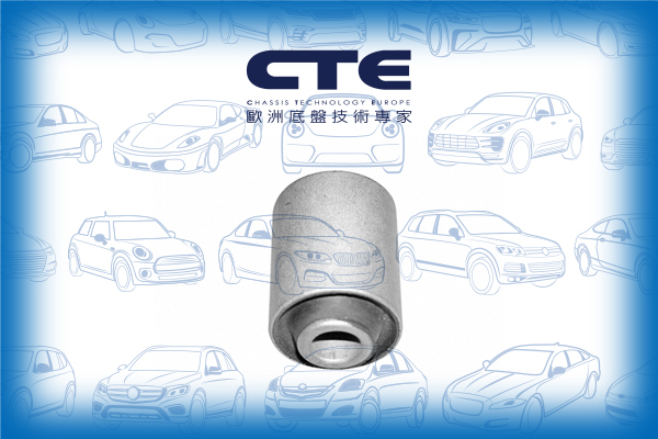 Rubber Bushing/HONDA/ROVER/600 I (RH)/ACCORD IV (CB)/ACCORD IV Aerodeck (CB)/ACCORD IV Coupe (CB, CC)/ACCORD V (CC, CD)/ACCORD V (CE, CF_, CD)