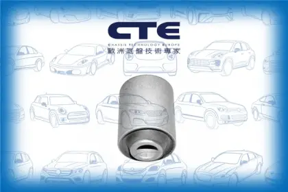 Rubber Bushing/HONDA/ROVER/600 I (RH)/ACCORD IV (CB)/ACCORD IV Aerodeck (CB)/ACCORD IV Coupe (CB, CC)/ACCORD V (CC, CD)/ACCORD V (CE, CF_, CD)