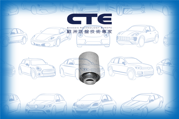 Rubber Bushing/HONDA/ROVER/600 I (RH)/ACCORD V (CC, CD)/ACCORD VI (CK, CG, CH, CF)/ACCORD VI Coupe (CG)/ACCORD VI Hatchback (CH, CL)/ACCORD VII (CL, CN)