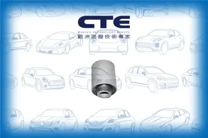 Rubber Bushing/HONDA/ROVER/600 I (RH)/ACCORD V (CC, CD)/ACCORD VI (CK, CG, CH, CF)/ACCORD VI Coupe (CG)/ACCORD VI Hatchback (CH, CL)/ACCORD VII (CL, CN)