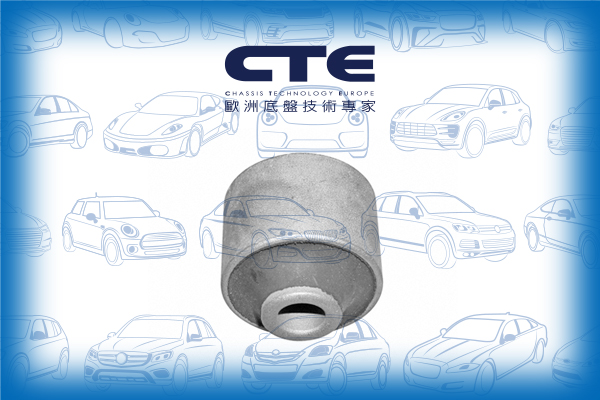 Rubber Bushing/HONDA/ACCORD VI (CK, CG, CH, CF)/ACCORD VI Coupe (CG)/ACCORD VI Hatchback (CH, CL)