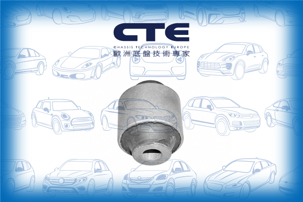 Rubber Bushing/HONDA/ACCORD VII (CL, CN)