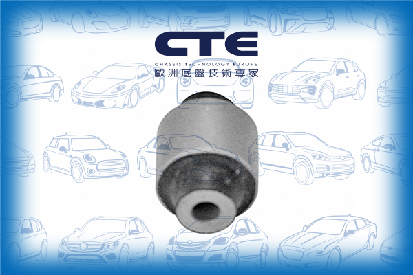 Rubber Bushing/ACURA/HONDA/ACCORD Coupe (CM)/ACCORD VII (CL, CN)/ACCORD VII (CM)/ACCORD VII Tourer (CM, CN)/ACCORD VIII (CP) | INSPIRE/ACCORD VIII (CU)/ACCORD VIII Estate (CW)/LEGEND IV (KB_)/TSX (CL_)