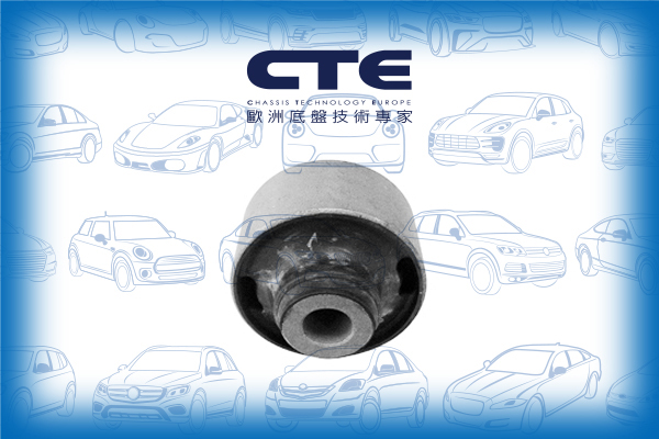 Rubber Bushing/HONDA/ACCORD VII (CL, CN)/ACCORD VII Tourer (CM, CN)