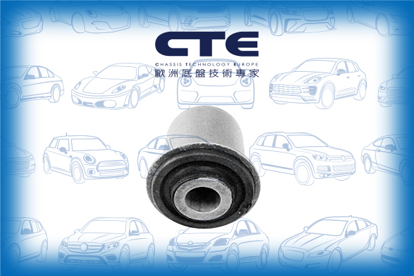 Rubber Bushing/HONDA/ACCORD VII (CL, CN)/ACCORD VII Tourer (CM, CN)