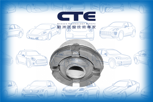 Rubber Bushing/LEXUS/TOYOTA/CAMRY (_V2_)/CAMRY Estate (_V2_)/ES (VCV10_, VZV21_)