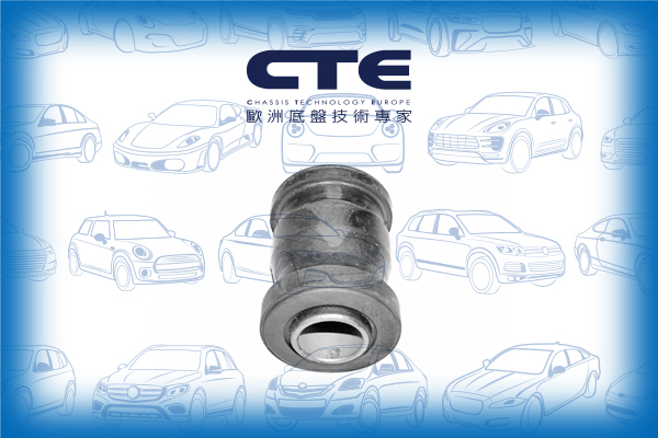 Rubber Bushing/LEXUS/TOYOTA/CAMRY (_V2_)/CAMRY Estate (_V2_)/ES (VCV10_, VZV21_)