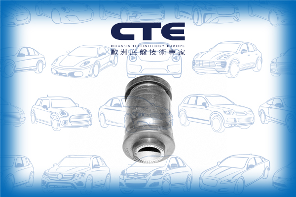 Rubber Bushing/TOYOTA/AVENSIS (_T22_)/AVENSIS Estate (_T22_)/AVENSIS Liftback (_T22_)/CARINA E VI (_T19_)/CARINA E VI Saloon (_T19_)/CARINA E VI Sportswagon (_T19_)