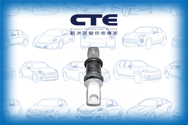 Rubber Bushing/LEXUS/TOYOTA/CAMRY (_V2_)/CAMRY Estate (_V1_) | SCEPTER/ES (VCV10_, VZV21_)/HARRIER (_U1_)/RX (MCU15)