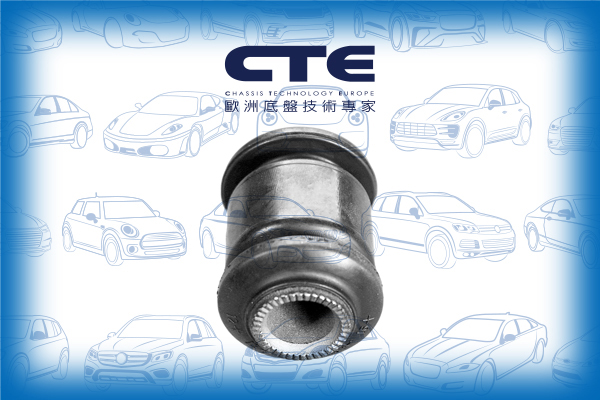Rubber Bushing/CITROËN/DAIHATSU/INFINITI/LEXUS/PEUGEOT/SUBARU/TOYOTA/107 (PM_, PN_)/AYGO (_B1_)/AYGO (_B4_)/C1 (PM_, PN_)/CHARADE VIII/COROLLA Saloon (_E16_) | COROLLA AXIO/ECHO Saloon (_P1_)/FX/IQ (_J1_)/PLATZ (NCP1_, SCP1_)/PRIUS C (NHP10_)/RACTIS (_P1