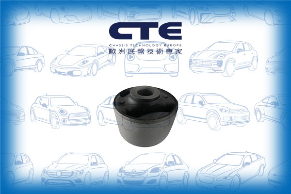 Rubber Bushing/TOYOTA/RAV 4 III (_A3_) | RAV 4 / VANGUARD/RAV 4 IV (_A4_)