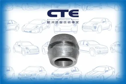 Rubber Bushing/FORD/ESCORT II (ATH)