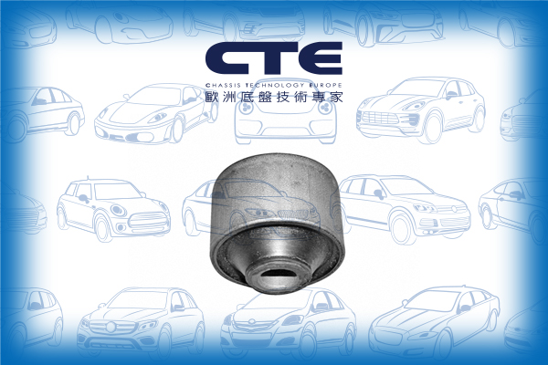 Rubber Bushing/FORD/MONDEO I (GBP)/MONDEO II (BAP)