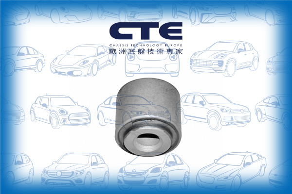Rubber Bushing/FORD/MAZDA/VOLVO/2 Saloon (DE_)/3 (BK) | AXELA/3 (BL) | AXELA/3 Saloon (BK) | AXELA/3 Saloon (BL) | AXELA/5 (CR19) | PREMACY/C-MAX (DM2)/C30 (533)/COUGAR (EC_)/FOCUS C-MAX (DM2)/FOCUS I (DAW, DBW)/FOCUS I Estate Van (DNW)/FOCUS I Saloon (DF