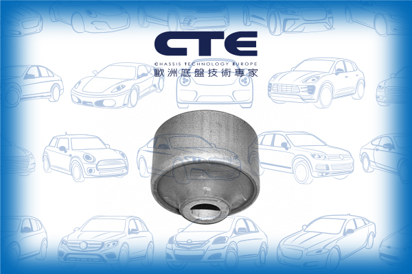 Rubber Bushing/FORD/FIESTA III (GFJ)
