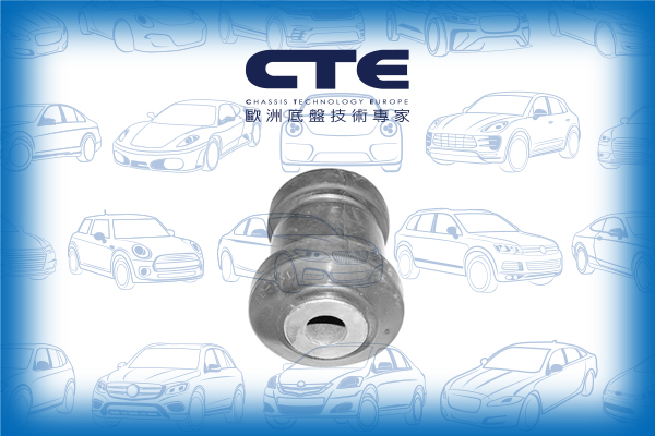 Rubber Bushing/FORD/FOCUS I (DAW, DBW)
