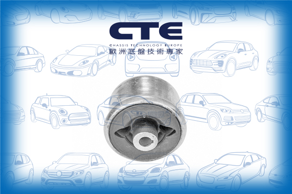 Rubber Bushing/FORD/JAGUAR/MONDEO III (B5Y)/X-TYPE I (X400)/X-TYPE I Estate (X400)