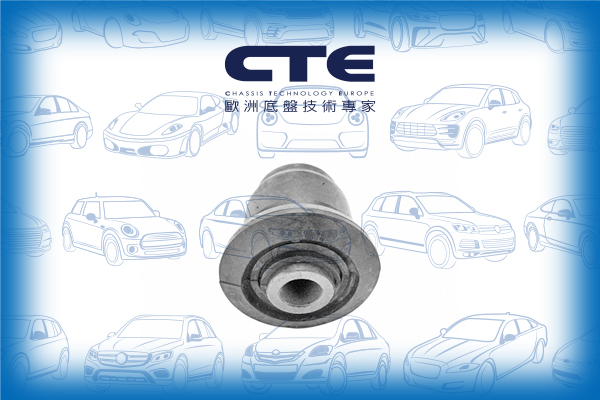 Rubber Bushing/MAZDA/MPV II (LW)