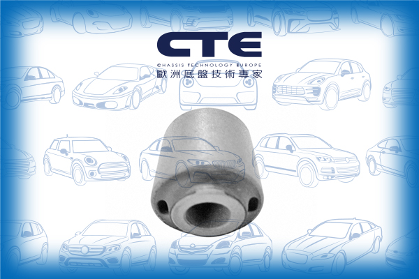 Rubber Bushing/FORD/MAZDA/VOLVO/3 (BK) | AXELA/3 Saloon (BK) | AXELA/C30 (533)/C70 I Convertible (873)/C70 II Convertible (542)/FOCUS I (DAW, DBW)/S40 II (544)/V50 (545)
