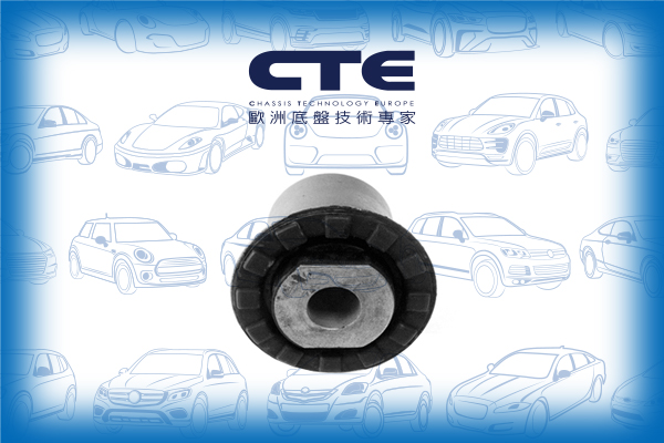 Rubber Bushing/FORD/MONDEO II (BAP)