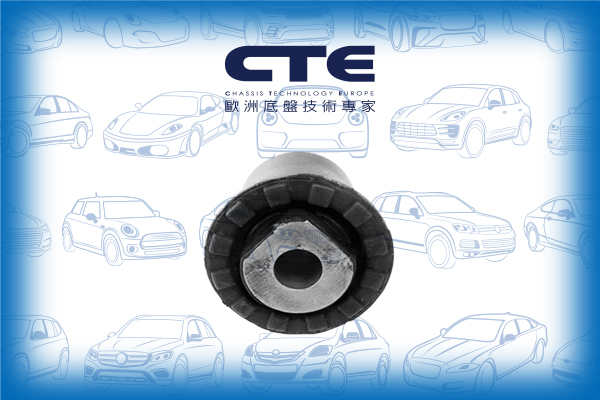Rubber Bushing/FORD/MONDEO II (BAP)