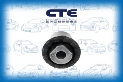 Rubber Bushing/FORD/MONDEO II (BAP)