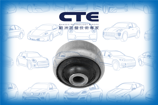 Rubber Bushing/FORD/MONDEO II (BAP)
