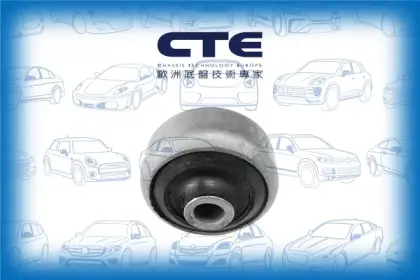 Rubber Bushing/FORD/MONDEO II (BAP)