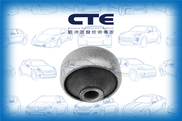 Rubber Bushing/FORD/MONDEO II (BAP)
