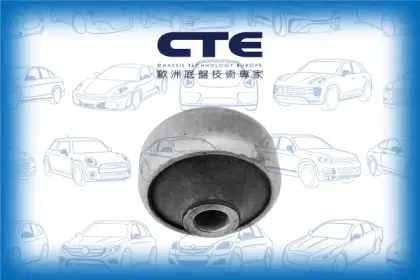 Rubber Bushing/FORD/MONDEO II (BAP)