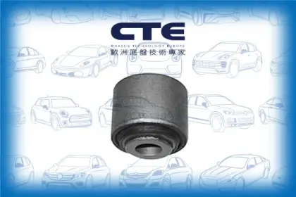 Rubber Bushing/FORD/GALAXY III (CK)