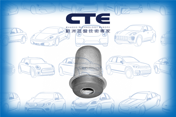 Rubber Bushing/MITSUBISHI/MINICA (H1_)
