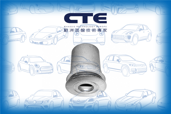 Rubber Bushing/MITSUBISHI/L 300 III Platform/Chassis (P1_T )