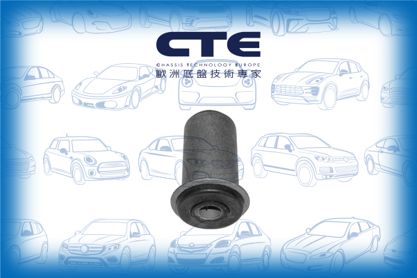 Rubber Bushing/MITSUBISHI/FREECA