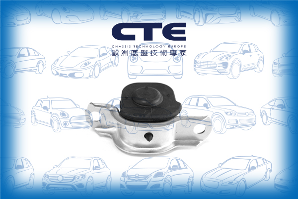 Rubber Bushing/VOLVO/S40 I (644)/V40 Estate (645)