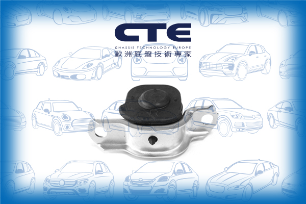 Rubber Bushing/VOLVO/S40 I (644)/V40 Estate (645)