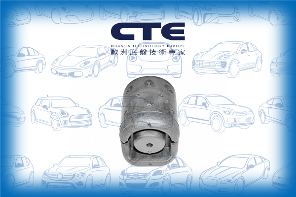 Rubber Bushing/NISSAN/SUNNY III (N14) | PULSAR/SUNNY III Hatchback (N14)/SUNNY III Liftback (N14)