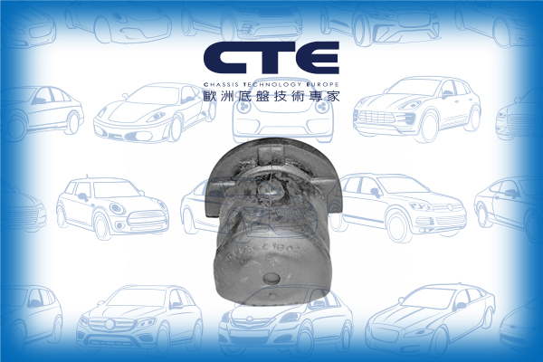 Rubber Bushing/NISSAN/MICRA II (K11) | MARCH | VERITA