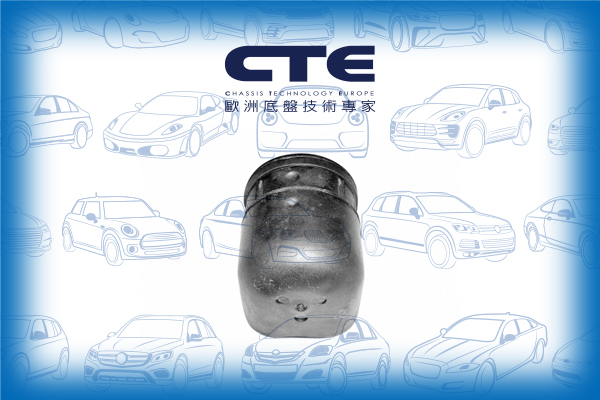 Rubber Bushing/INFINITI/NISSAN/G20/PRIMERA (P10)