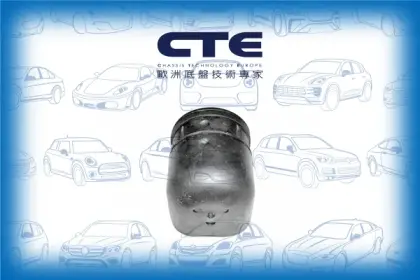 Rubber Bushing/INFINITI/NISSAN/G20/PRIMERA (P10)